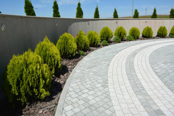 Best Decorative Driveway Pavers  in Salisbury, NC